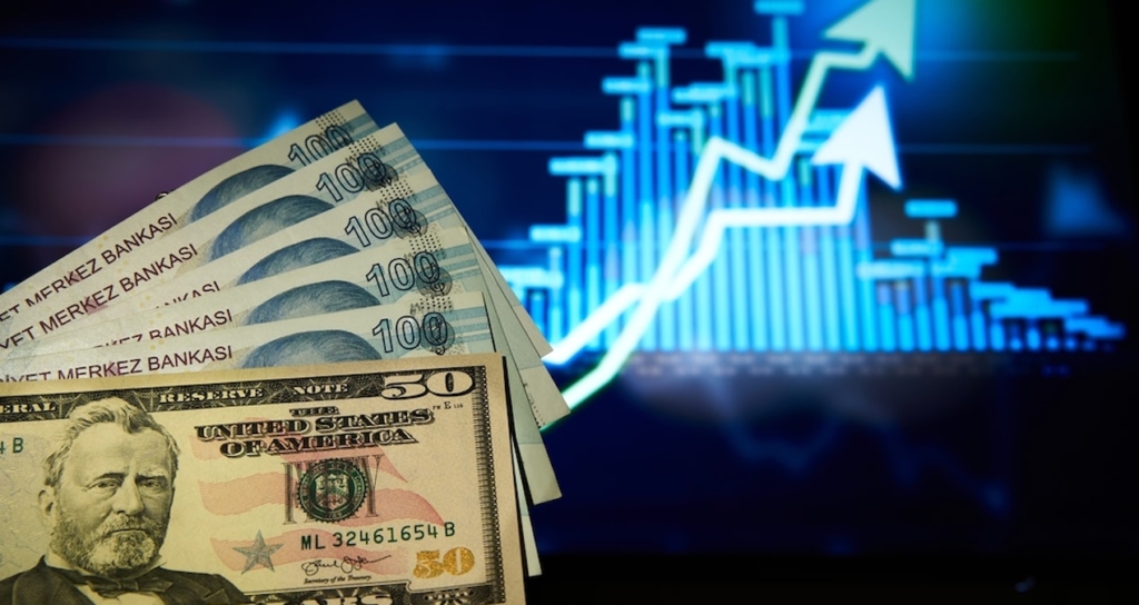 Dolar/TL haftanın ilk işlem gününde 49,1630 seviyesine yükselerek tarihi zirvesini yeniledi