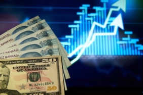 Dolar/TL haftanın ilk işlem gününde 49,1630 seviyesine yükselerek tarihi zirvesini yeniledi