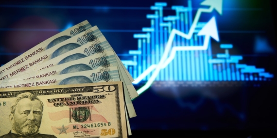 Dolar/TL haftanın ilk işlem gününde 49,1630 seviyesine yükselerek tarihi zirvesini yeniledi