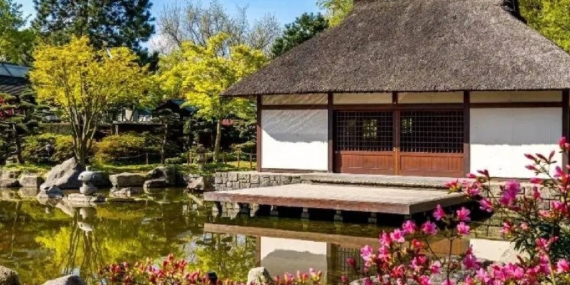 Japonya’da 1 Dolara Satışa Çıkarılan Sahipsiz Konutlar Ağır Masraflar Nedeniyle İlgi Görmüyor