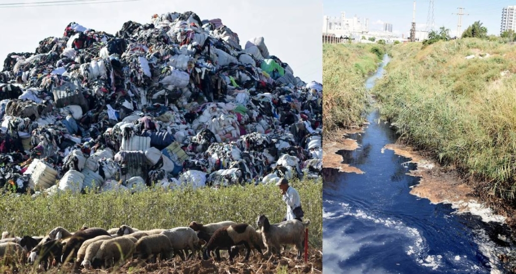 Avrupa'dan İthal Edilen Plastik Atıklar Akdeniz Kıyılarını ve Tarım Alanlarını Tehdit Ediyor